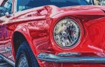 67 Mustang (image for) 67 Mustang